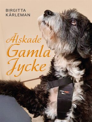 cover image of Älskade gamla jycke